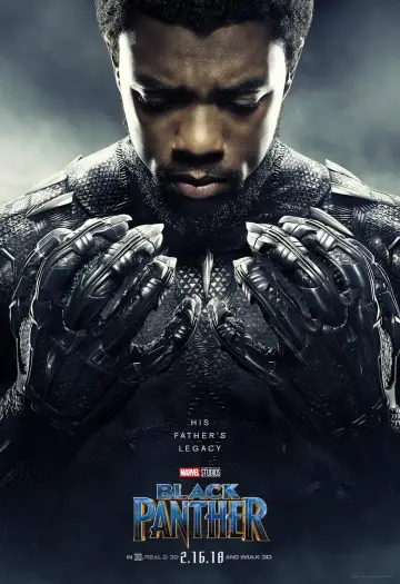 Poster to the movie "Black Panther" #219879