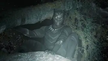Backdrop to the movie "Black Panther" #563079
