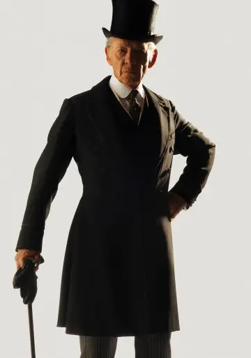 Poster to the movie "Mr. Holmes" #327996
