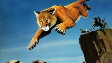 Backdrop to the movie "Run, Cougar, Run" #404459