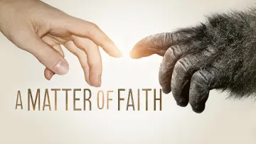 Backdrop to the movie "A Matter of Faith" #1084235