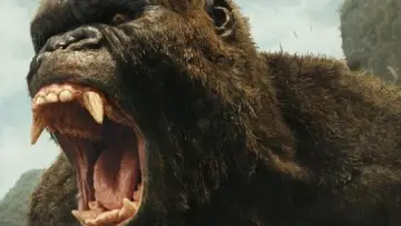 Backdrop to the movie "Kong: Skull Island" #591674