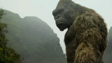 Backdrop to the movie "Kong: Skull Island" #591705