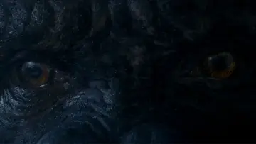 Backdrop to the movie "Kong: Skull Island" #591729