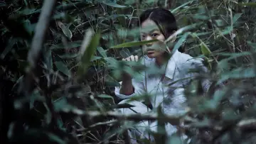 Backdrop to the movie "The Wailing" #223969