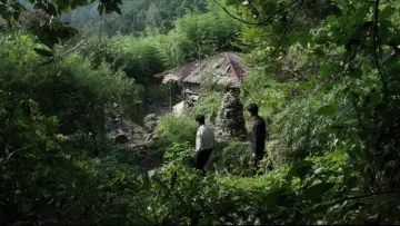 Backdrop to the movie "The Wailing" #836413