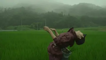 Backdrop to the movie "Little Forest: Summer/Autumn" #853895