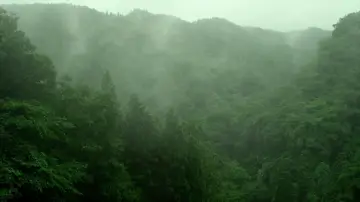 Backdrop to the movie "Little Forest: Summer/Autumn" #853903