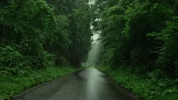 Backdrop to the movie "Little Forest: Summer/Autumn" #853906