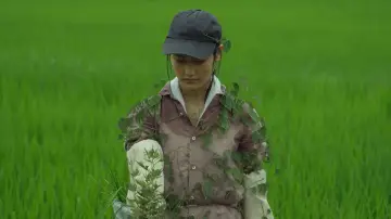 Backdrop to the movie "Little Forest: Summer/Autumn" #853908