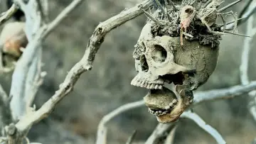 Backdrop to the movie "Bone Tomahawk" #691645