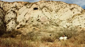 Backdrop to the movie "Bone Tomahawk" #691647