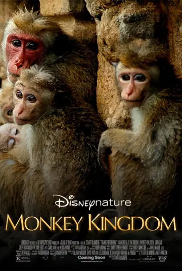 Poster to the movie "Monkey Kingdom" #1081451