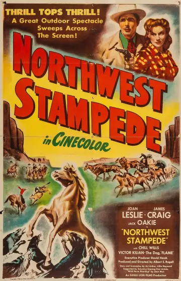 Poster to the movie "Northwest Stampede" #1573106