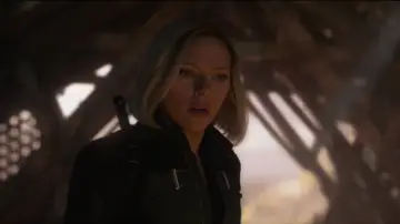 Backdrop to the movie "Avengers: Endgame" #828487