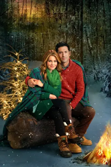 Poster to the movie "Christmas Under Wraps" #421997