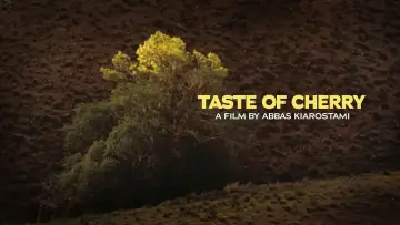 Backdrop to the movie "Taste of Cherry" #695677