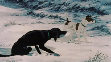 Backdrop to the movie "The Plague Dogs" #1047320