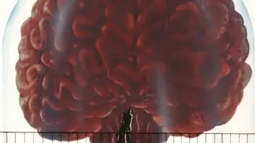 Backdrop to the movie "Lupin the Third: The Mystery of Mamo" #1044634
