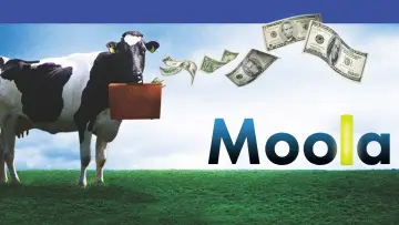 Backdrop to the movie "Moola" #1108782