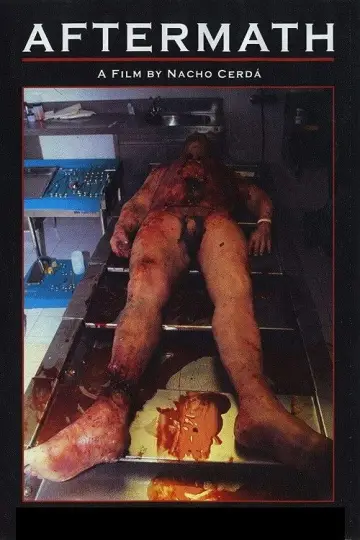Poster to the movie "Aftermath" #743497