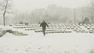 Backdrop to the movie "Distant" #1118732