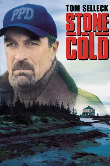Poster to the movie "Stone Cold" #1044979