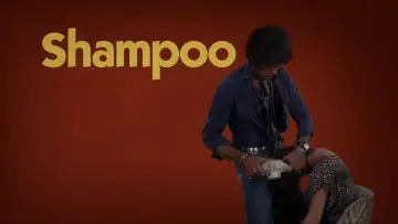 Backdrop to the movie "Shampoo" #1032605