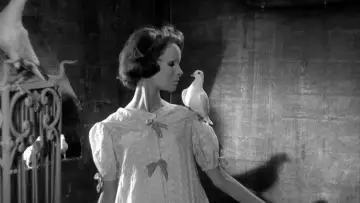 Backdrop to the movie "Eyes Without a Face" #985838