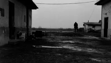 Backdrop to the movie "Satantango" #1011121