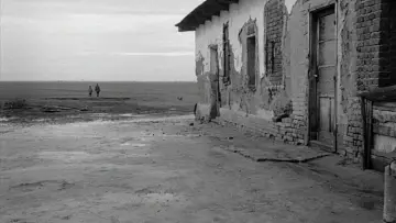 Backdrop to the movie "Satantango" #1011129