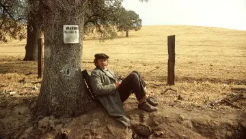 Backdrop to the movie "Scarecrow" #1024401