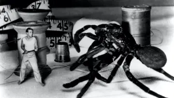 Backdrop to the movie "The Incredible Shrinking Man" #986891