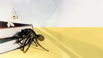 Backdrop to the movie "The Incredible Shrinking Man" #986894