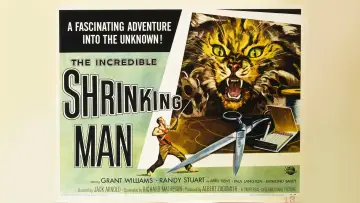 Backdrop to the movie "The Incredible Shrinking Man" #986899