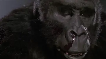 Backdrop to the movie "King Kong Lives" #972629