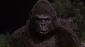 Backdrop to the movie "King Kong Lives" #972630