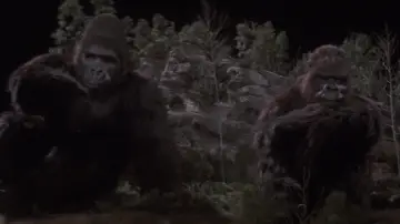 Backdrop to the movie "King Kong Lives" #972631