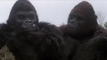 Backdrop to the movie "King Kong Lives" #972632