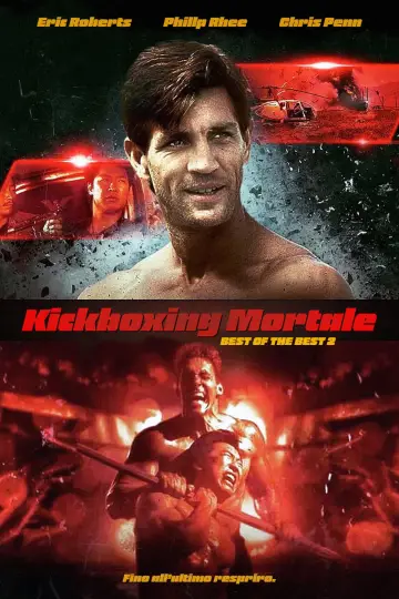 Poster to the movie "Best of the Best 2" #1062403