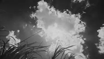 Backdrop to the movie "I Am Cuba" #1054810