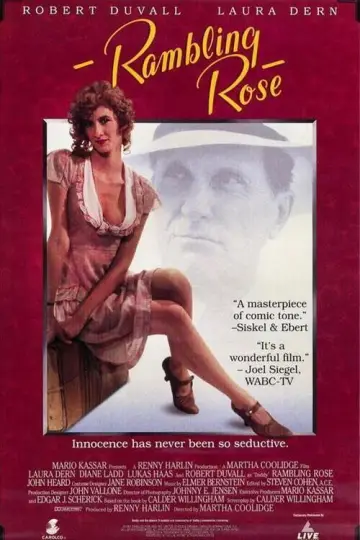 Poster to the movie "Rambling Rose" #1115395