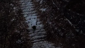 Backdrop to the movie "Wishing Stairs" #746621