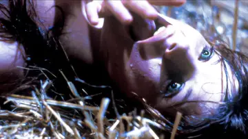 Backdrop to the movie "The Marsupials: The Howling III" #491988