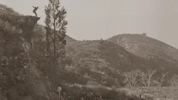 Backdrop to the movie "Seven Chances" #1062747