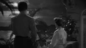 Backdrop to the movie "Now, Voyager" #1041583