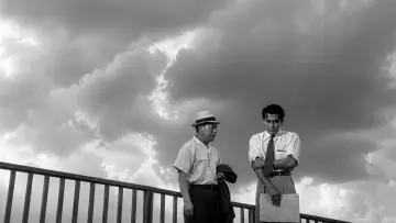Backdrop to the movie "Stray Dog" #1014207