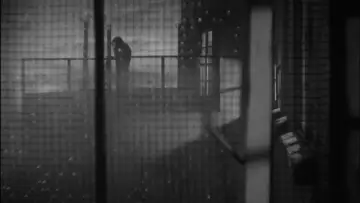 Backdrop to the movie "Stray Dog" #941241