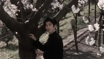 Backdrop to the movie "Blue Spring" #950373