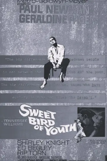 Poster to the movie "Sweet Bird of Youth" #1067997